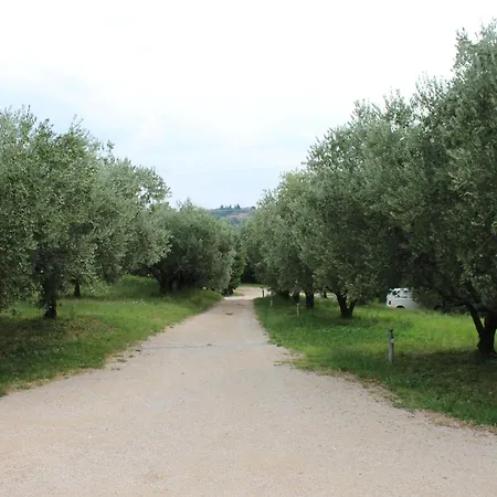 Spigolo
