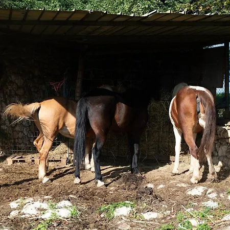 Spigolo