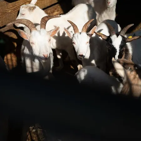 Spigolo Bauernhof Avesa